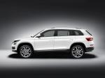 Skoda Kodiaq 2016 года (WW)